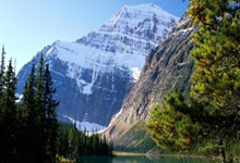 草榴社区冷门知识